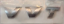 لیبل VVT جک جی JAC J5