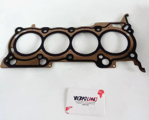 واشر سرسیلندر اصلی ریگان کوپا