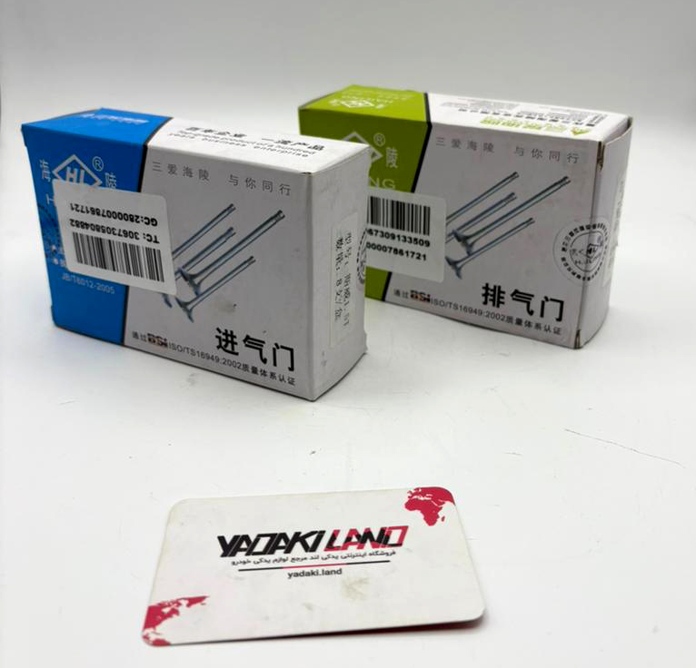 سوپاپ اس دابلیو ام SWM G01 اصلی شرکتی